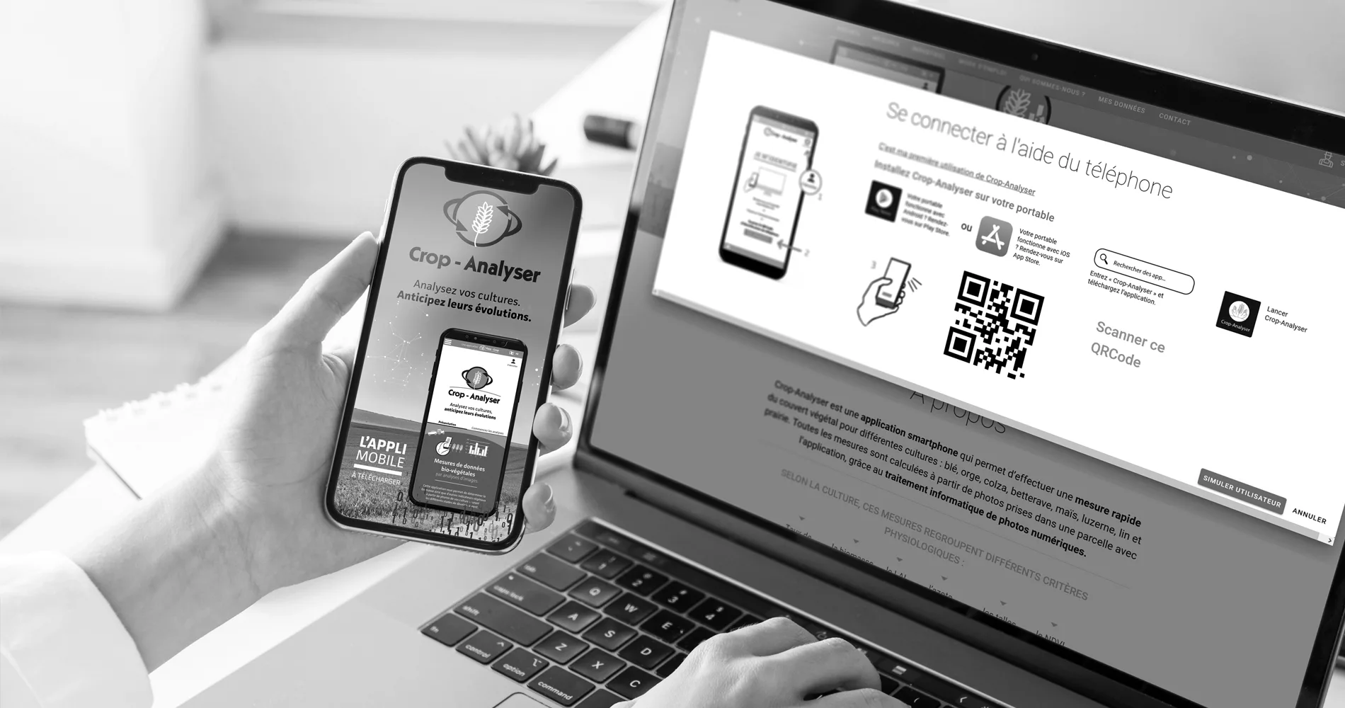 Comm autour du lancement de la nouvelle version